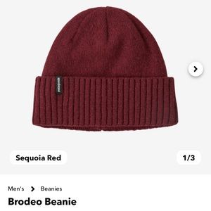 Patagonia Brodeo Beanie